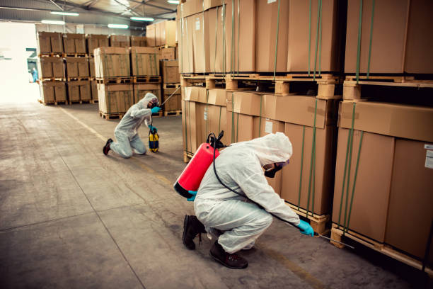 Best Pest Control Near Me  in Evergreen, MT