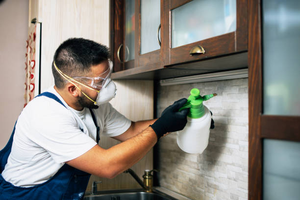Best Emergency Pest Control  in Evergreen, MT
