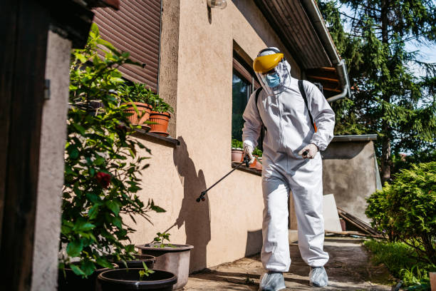 Best Wasp Removal Services  in Evergreen, MT
