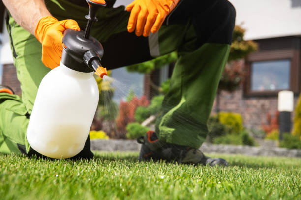 Best Pest Removal Services  in Evergreen, MT