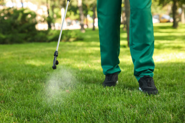 Best Ant Control Services  in Evergreen, MT
