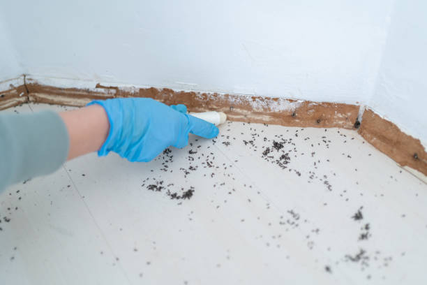  Evergreen, MT Pest Control Pros